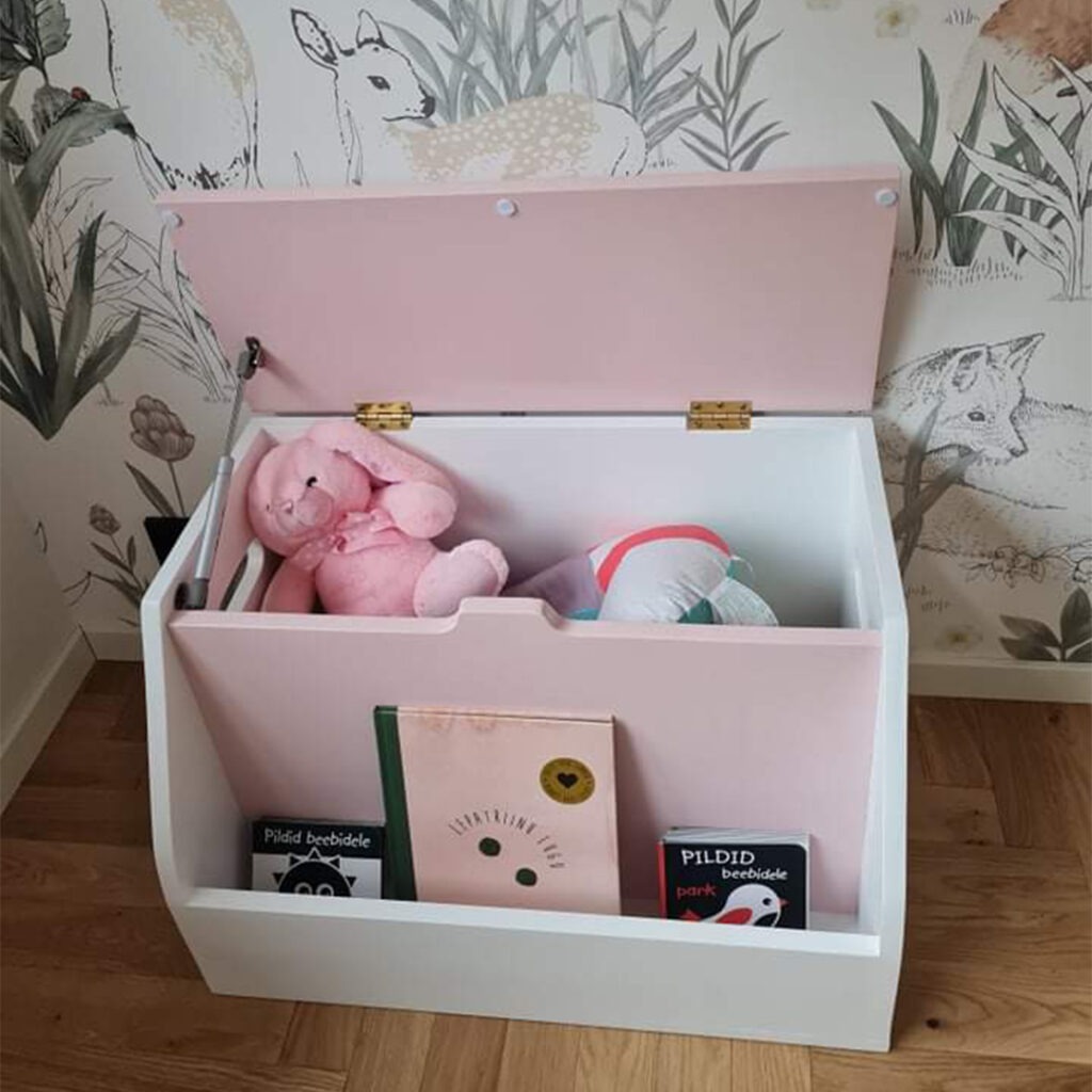Kodu korda mänguasjakasti abil